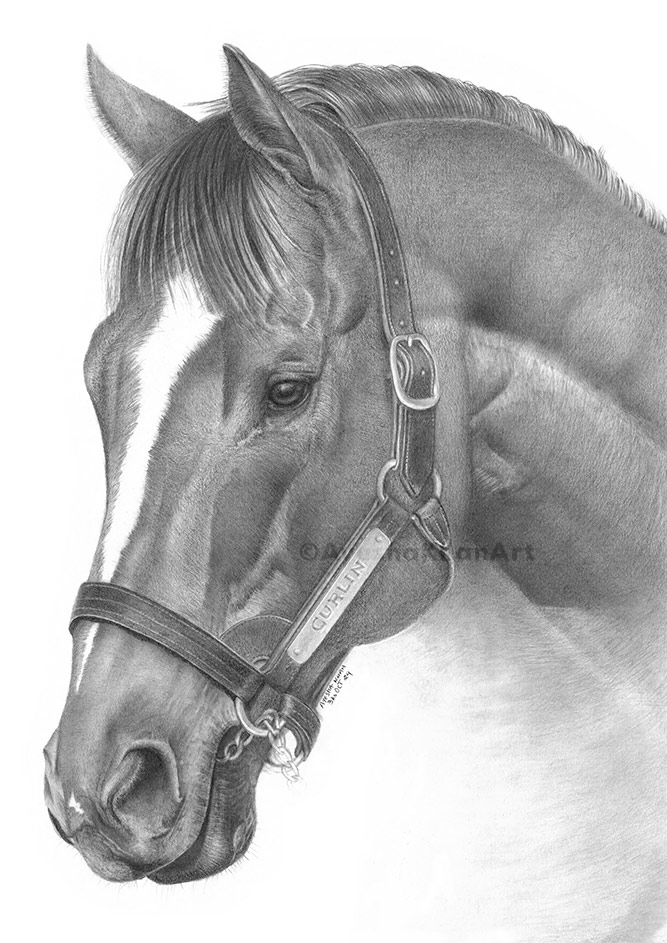 Curlin
