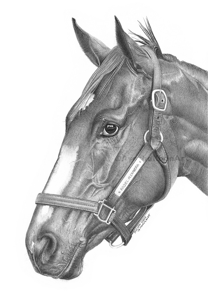 Rachel Alexandra