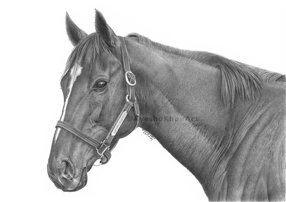 Sunday Silence